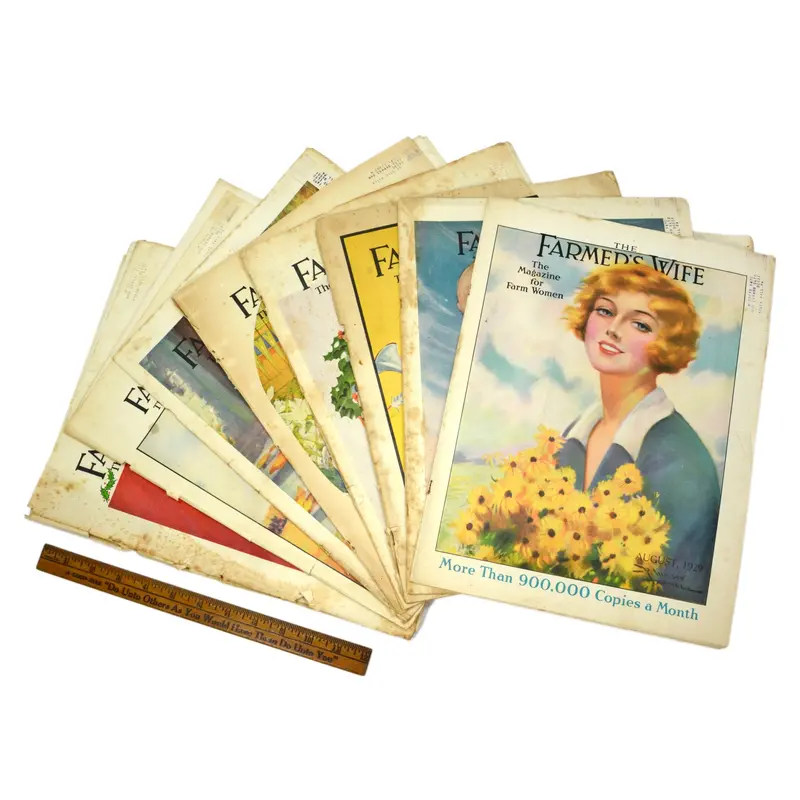 1929–1930 Farmer’s Wife Magazine Set — 14 Collectible Back Issues Featuring 8 Distinctive Covers