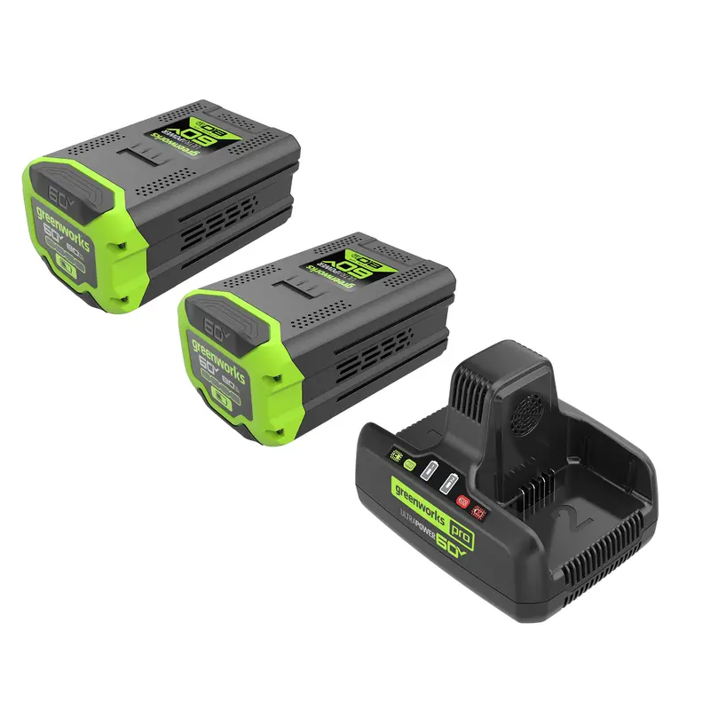 60V Battery Starter Bundle: Two 8.0Ah Batteries + 10A Dual-Port Fast Charger