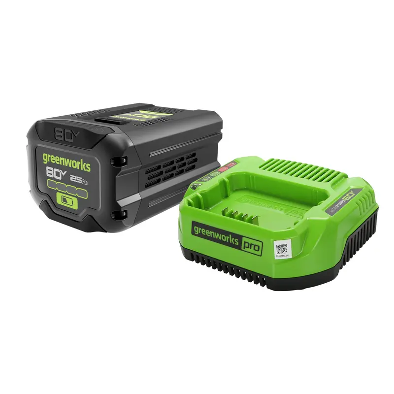 80V 2.5Ah Battery and 2A Smart Charger Bundle