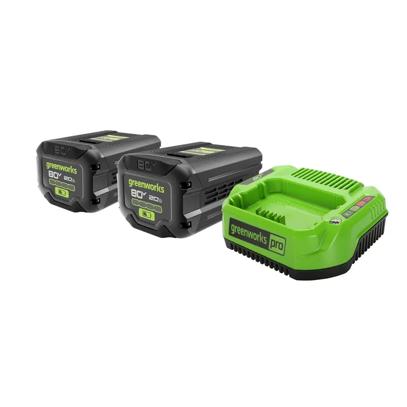 80V Dual 2.0Ah Batteries with Standard 2-Amp Charger Kit