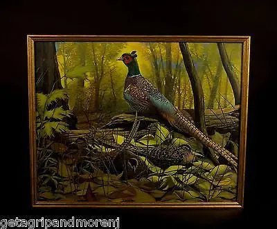 August Hollow Pheasant Lithograph – 1940s Foliage Composition, 17.5″ x 21″, Fine Vintage Print