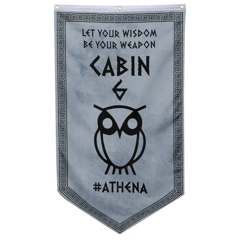 Camp Half-Blood Cabin 6 Athena Pennant Flag – Wisdom & Strategy Theme