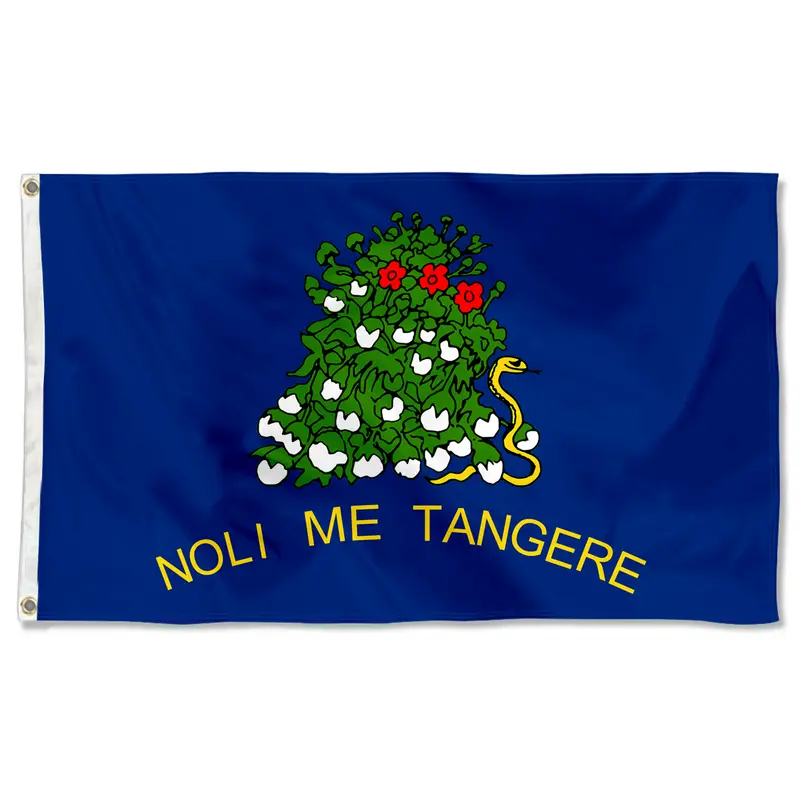Fyon Alabama Secession Flag Banner (1861, Reverse Side) – Historical Civil War Era