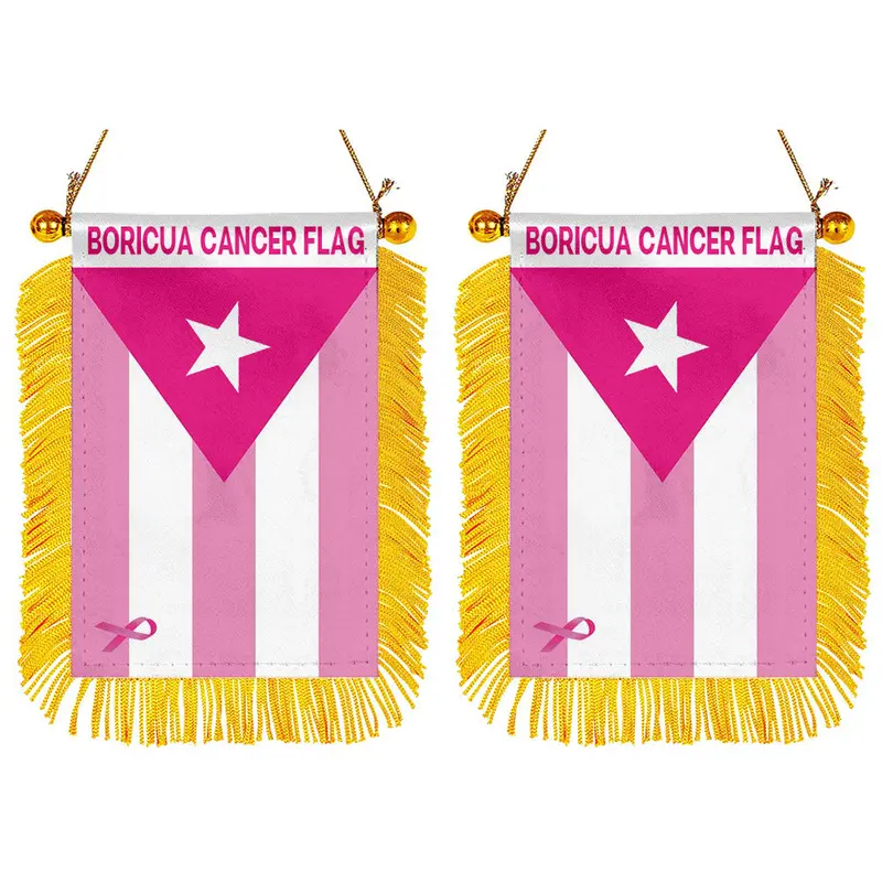 Fyon Boricua Cancer Awareness Mini Mirror Flag – 2-Piece Set