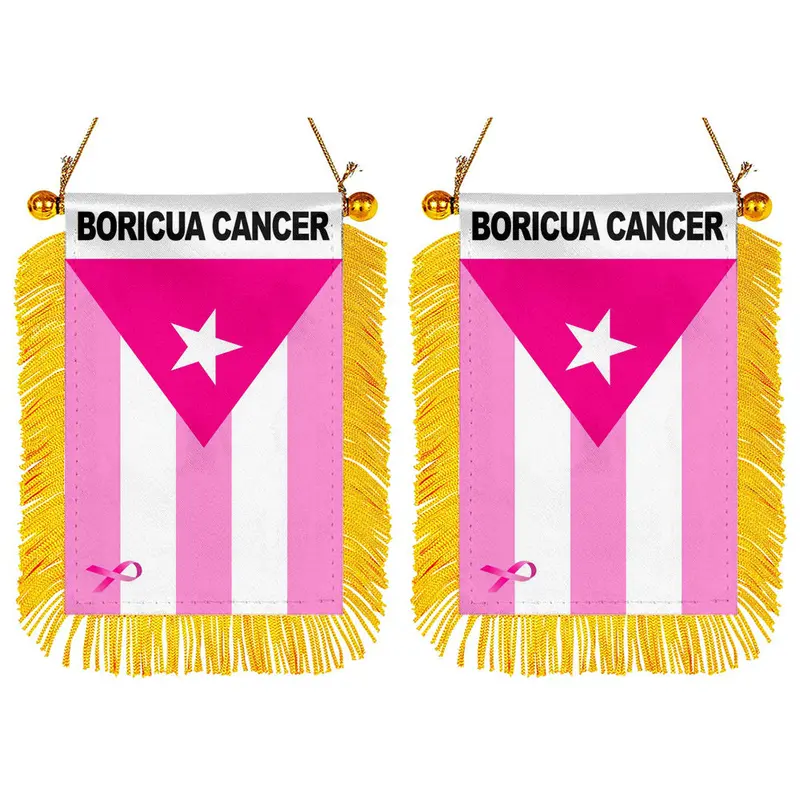 Fyon Boricua Cancer Awareness Mini Mirror Flag – Puerto Rican Pride Banner (2-Pack)