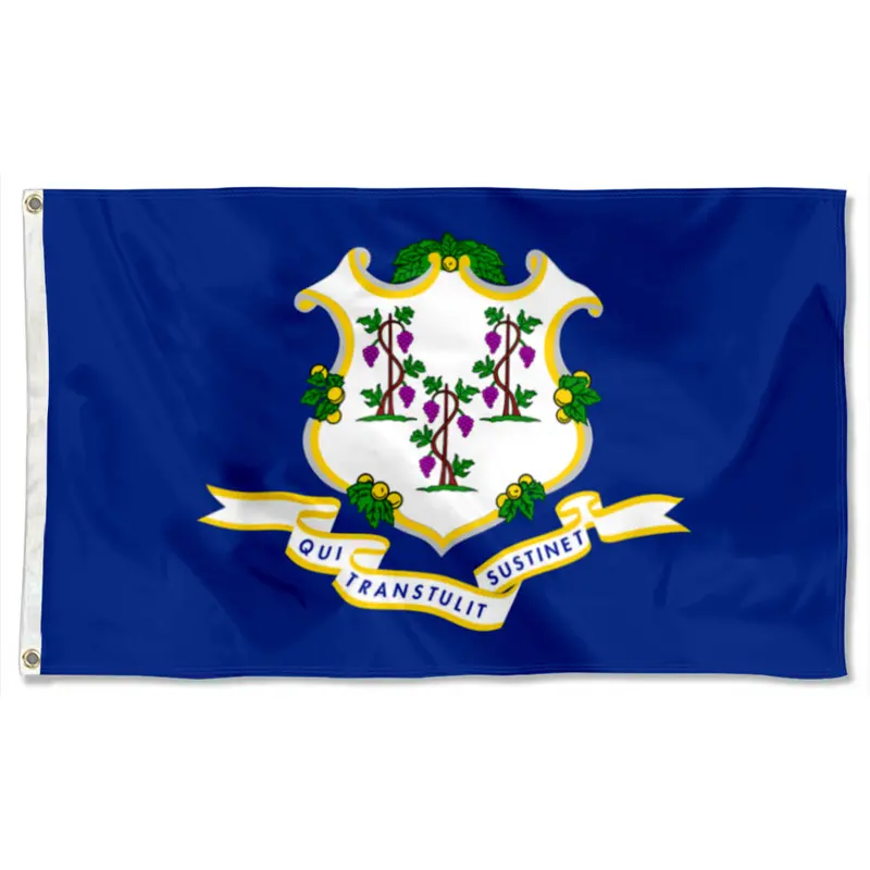 Fyon Connecticut State Flag Banner – Elegant State Seal Reproduction