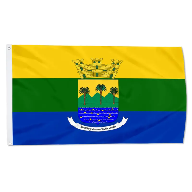 Fyon Corozal Municipal Flag of Puerto Rico – Local Heritage Banner (23262)