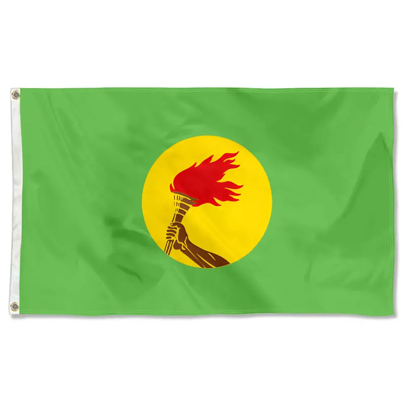 Fyon Double-Sided Zaire (1971–1997) Historical Flag Banner