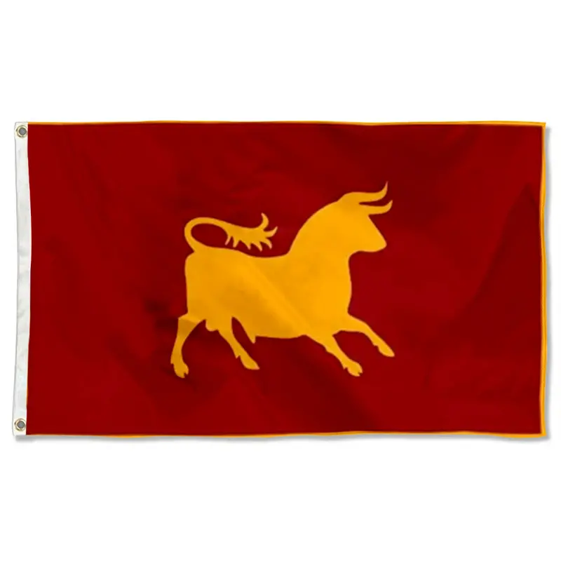 Fyon Lucius Loyalists Flag – Post-Apocalyptic Allegiance Banner – Indoor/Outdoor