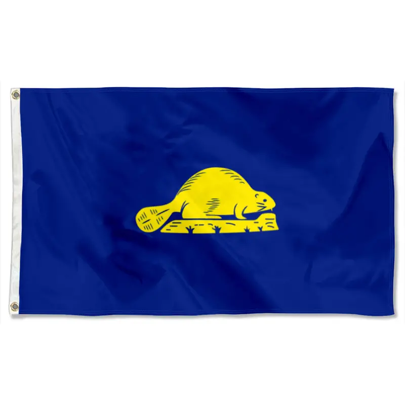 Fyon Oregon State Flag Banner