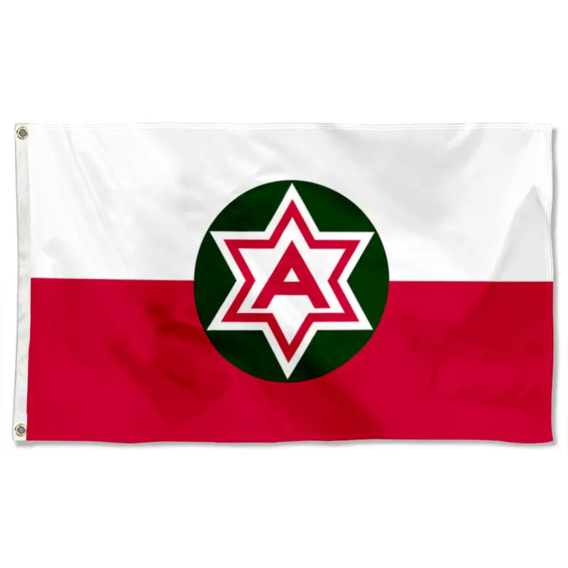 Fyon Sixth U.S. Army Historical Flag Banner