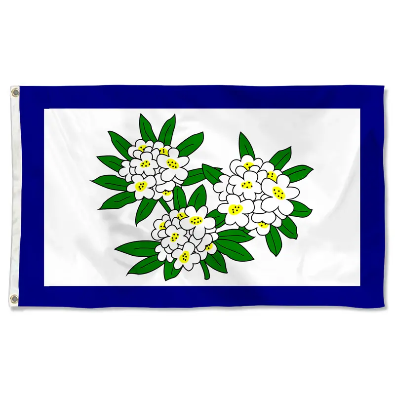 Fyon West Virginia US State Flag Banner (1905–1907)