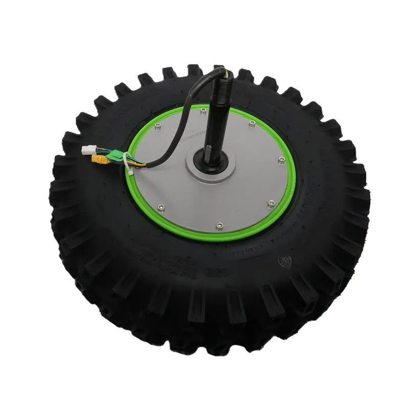 Left-Side Wheel Hub Motor Assembly
