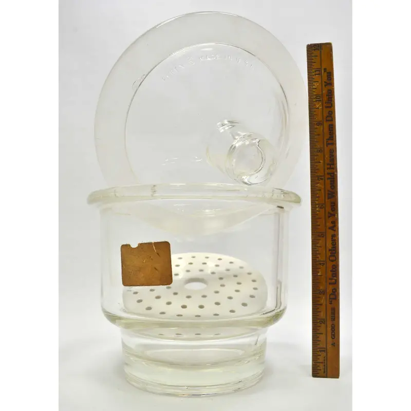 Pyrex Biology Lab Desiccator with Porcelain Plate Insert and Lid – 6.5-Inch Tall Glass Unit