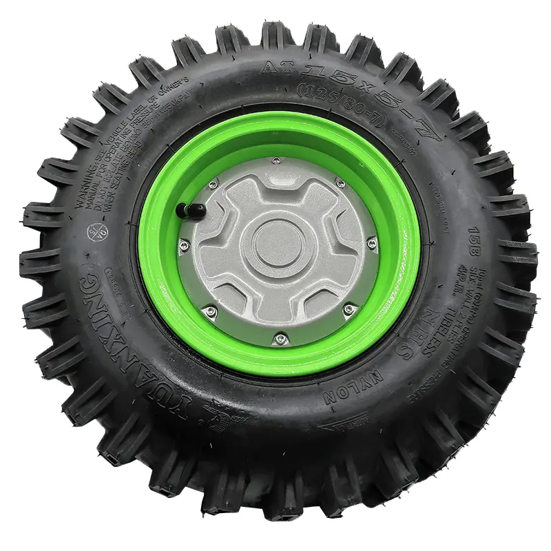 Right-Side Wheel Hub Motor Assembly