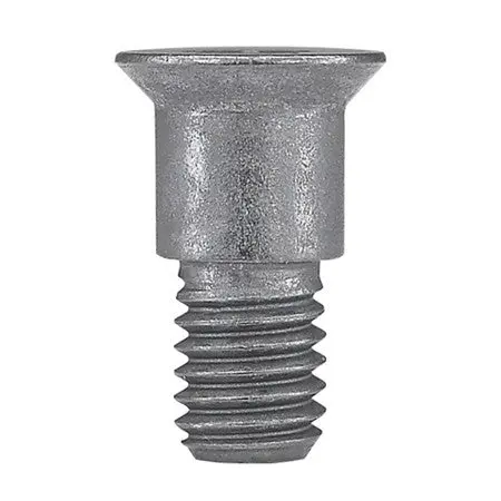 Weinig Spiral Cutterhead Mounting Screw – T20 Torx Head